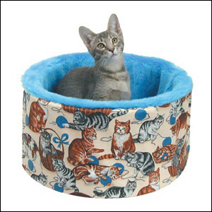 Digital Photography of a Cat Used  in a Brochure by Dynamic Digital Advertising