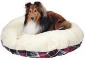 Man's best friend, digitally photographed by a client's best friend, DDA - Product photography