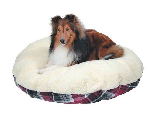 Man's best friend, digitally photographed by a client's best friend, DDA - Product photography